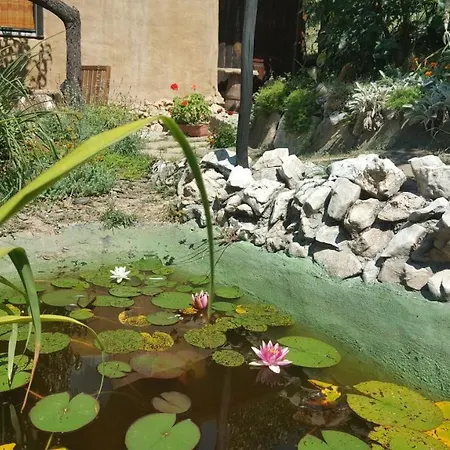 Cob House Adonai 게스트하우스 Bogdanchovtsi